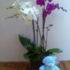 Cristal decorado con orquídeas