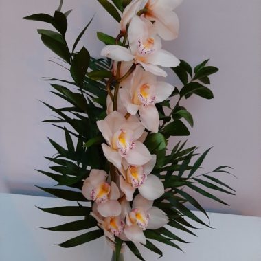 Rama de orquídeas